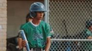 Diversity issues in MLB